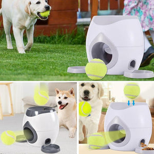 A2Automatic Dog Ball Launcher - Realpets shop