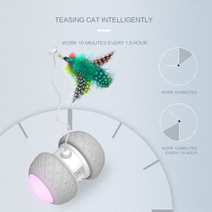 A001 Smart Interactive Cat Toy - Realpets shop