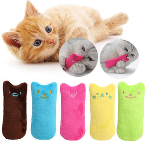 Cat Toys Cute Pillow - Realpets shop