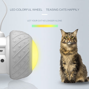 A001 Smart Interactive Cat Toy - Realpets shop