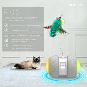 A001 Smart Interactive Cat Toy - Realpets shop