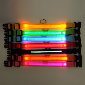 AD01 Nylon LED Pet Dog Collar Night - Realpets shop