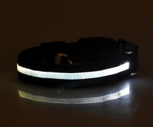 AD01 Nylon LED Pet Dog Collar Night - Realpets shop