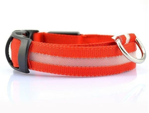 AD01 Nylon LED Pet Dog Collar Night - Realpets shop