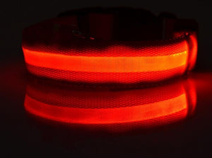 AD01 Nylon LED Pet Dog Collar Night - Realpets shop