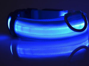 AD01 Nylon LED Pet Dog Collar Night - Realpets shop