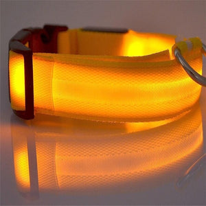 AD01 Nylon LED Pet Dog Collar Night - Realpets shop