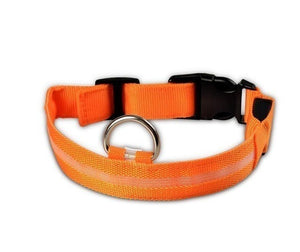 AD01 Nylon LED Pet Dog Collar Night - Realpets shop