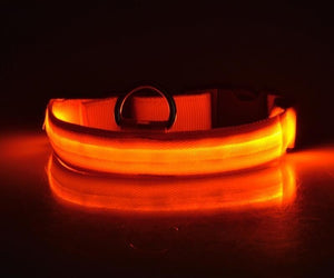 AD01 Nylon LED Pet Dog Collar Night - Realpets shop