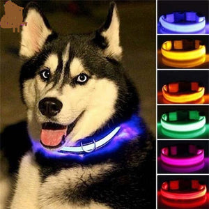 AD01 Nylon LED Pet Dog Collar Night - Realpets shop