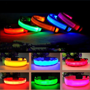 AD01 Nylon LED Pet Dog Collar Night - Realpets shop