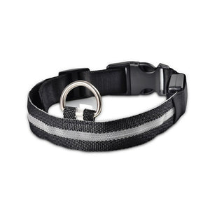 AD01 Nylon LED Pet Dog Collar Night - Realpets shop