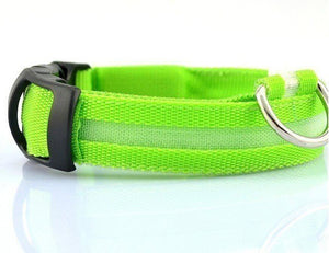 AD01 Nylon LED Pet Dog Collar Night - Realpets shop