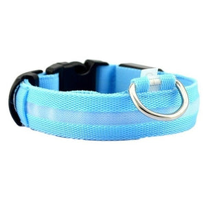 AD01 Nylon LED Pet Dog Collar Night - Realpets shop