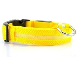 AD01 Nylon LED Pet Dog Collar Night - Realpets shop