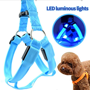 A3Led Dog Collar Rechargeable - Realpets shop