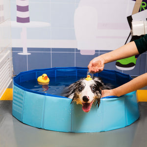 Pet Dog Cat Swimming Pool - Realpets shop