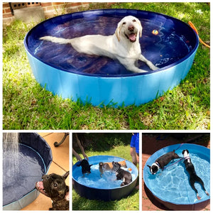 Pet Dog Cat Swimming Pool - Realpets shop