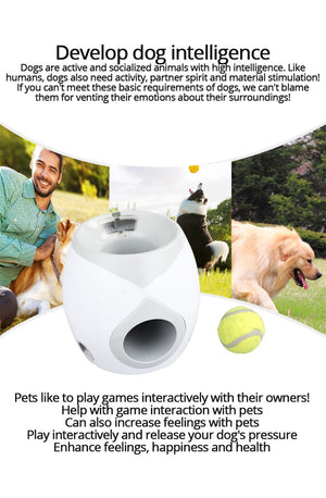 A2Automatic Dog Ball Launcher - Realpets shop