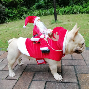 Santas Helper - Xmas Dog Costume - Realpets shop