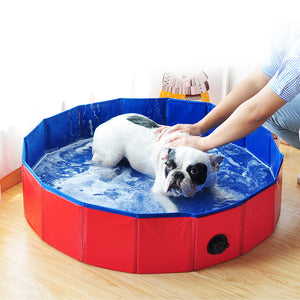 Pet Dog Cat Swimming Pool - Realpets shop