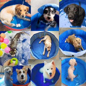 Pet Dog Cat Swimming Pool - Realpets shop