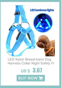 A3Led Dog Collar Rechargeable - Realpets shop